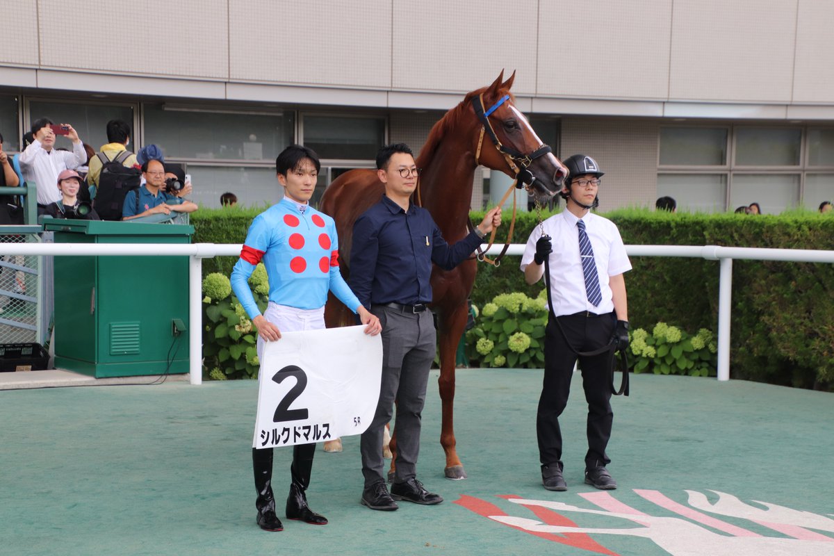 SILKHCofficial's tweet photo. 【今日の1枚】@福島競馬場

デビュー戦を1番人気に応えて見事に勝利した #シルクドマルス

好スタートから危なげのないレース運びで、最後まで安心して見届けることができました🥇
口取り撮影でも古馬のような堂々とした姿を披露してくれましたよ！
皆様おめでとうございました👏🏻

#silkhc
#福島競馬場 https://t.co/THGJRDEPMm