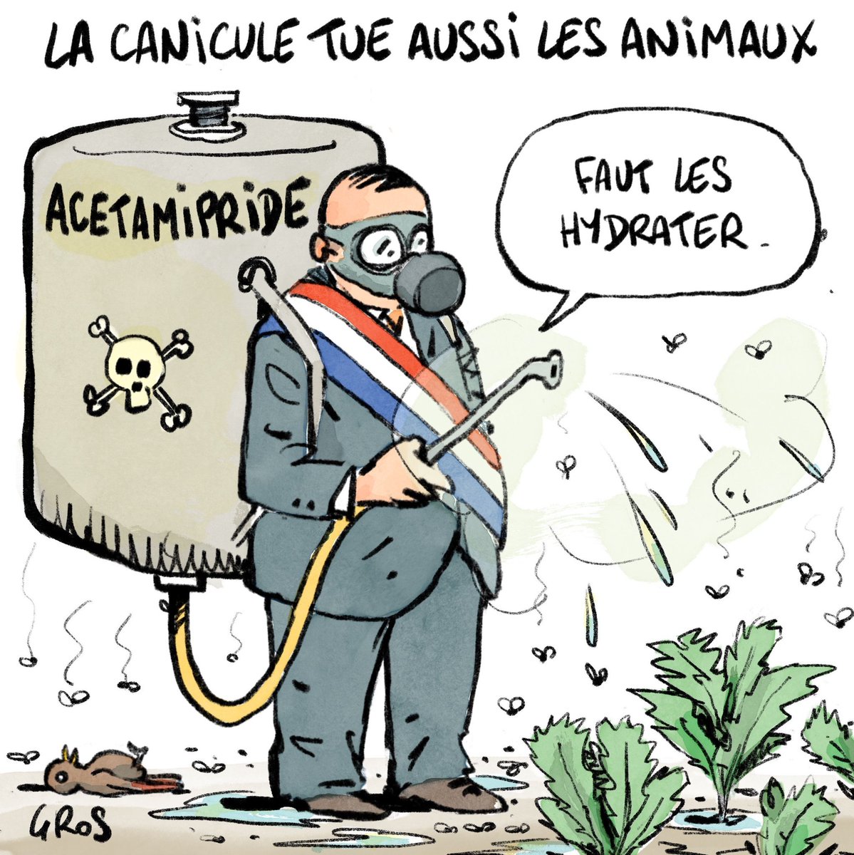 Thierry Lafosse tweet media
