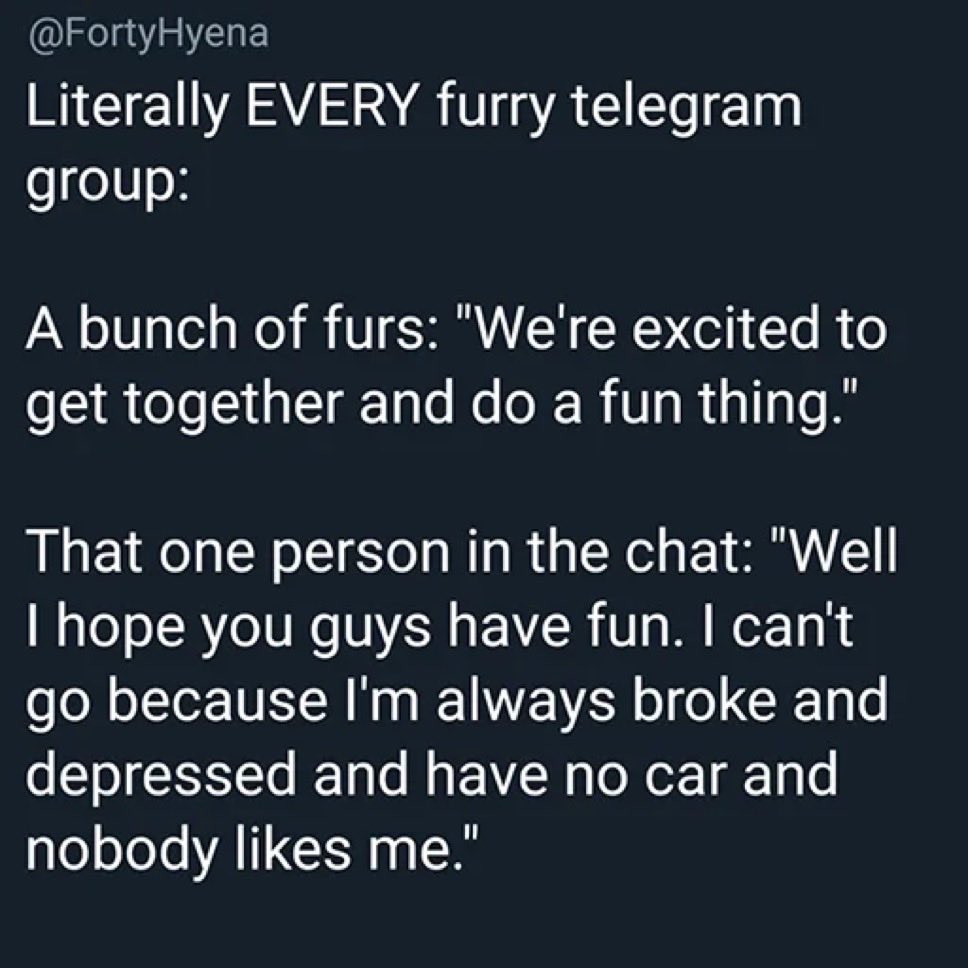 Briar the Squirrel tweet media