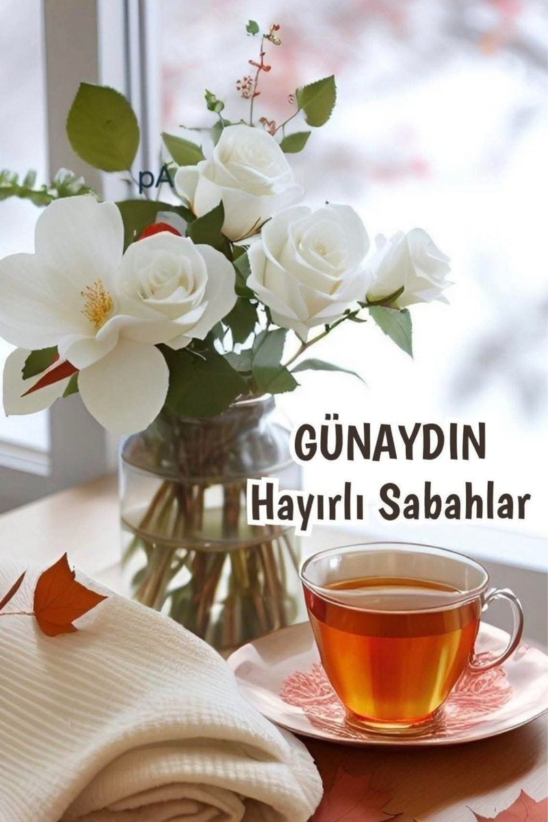 38kadir Kürşat 38 tweet media