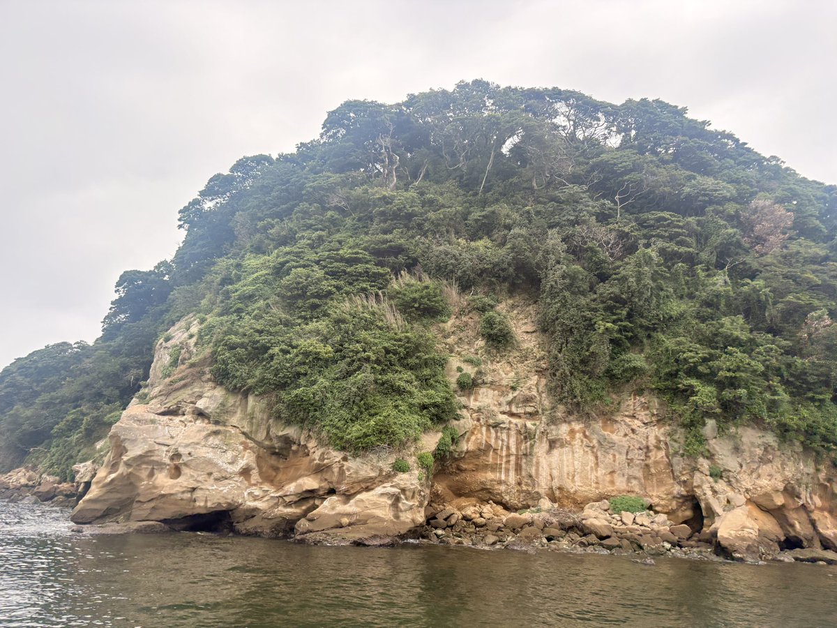 Sandra_hitsuji's tweet photo. 猿島行ってなぜかパチ屋にいる https://t.co/8NazRyCMVT