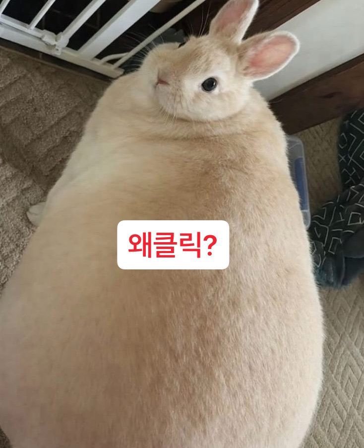 DLAGMLTJS1010's tweet photo. 뇨뇨뇽~ https://t.co/5W884wVbNr