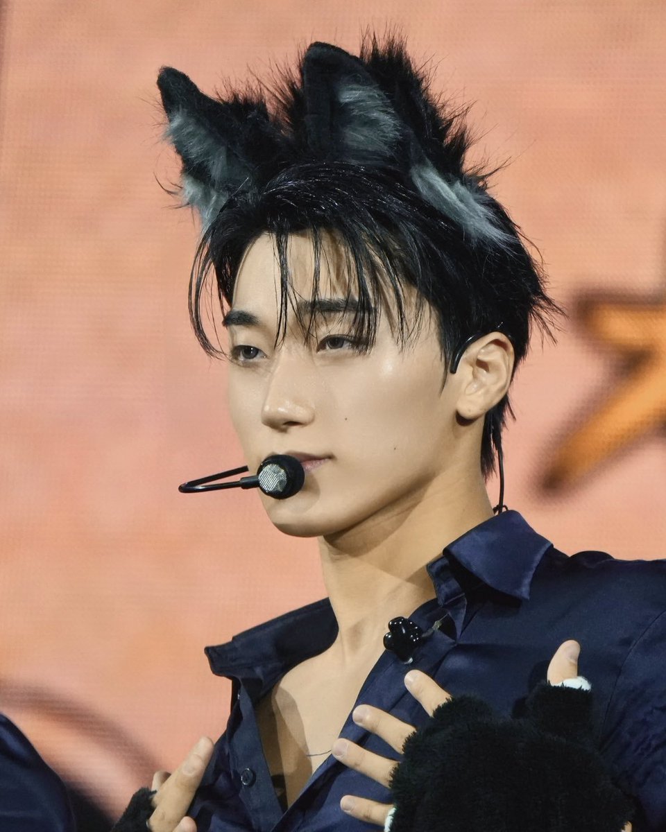 innocsxn's tweet photo. MY MEOW MEOW 🥹🥹🥹 https://t.co/xUsnEogOEk