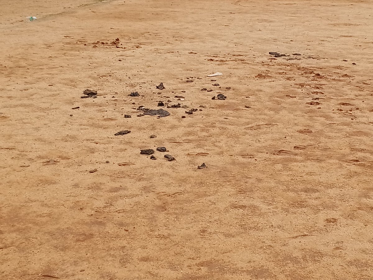 TholV84666's tweet photo. Is it a play ground or a shitting of cattles @chennaicorp take action https://t.co/VvD8D71yjx