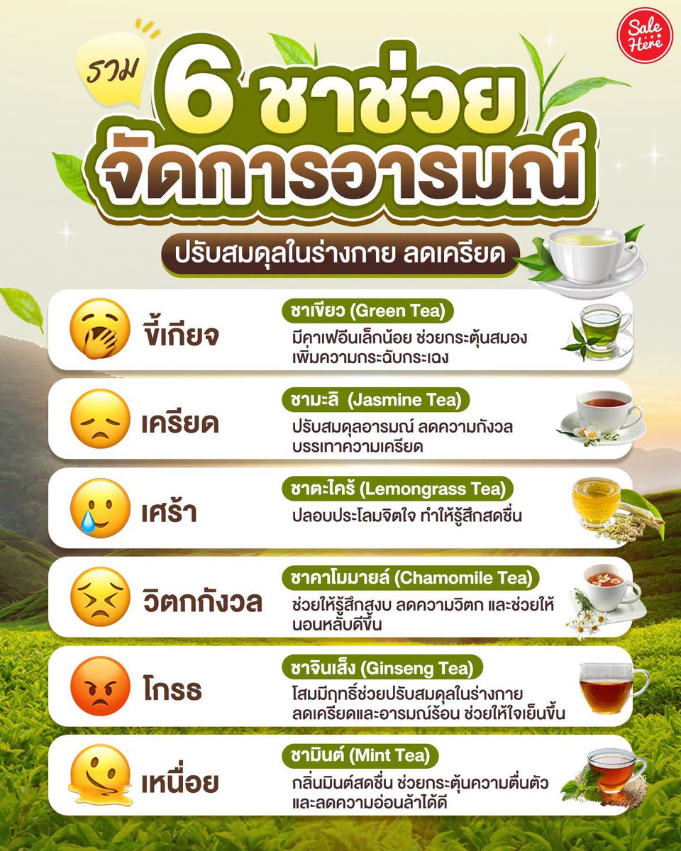 salehere1's tweet photo. 📣 ใครชอบดื่มชามาทางนี้! 🙌🏻🌱 แอดรวม 6 #ชา ที่ช่วยปรับสมดุลอารมณ์ในร่างกายไว้ให้แล้ว 💪🏻 สำหรับใครที่มักมีอารมณ์แปรปรวน เครียด หงุดหงิด หรือวิตกกังวลอยู่บ่อยๆ การดื่มชาช่วยได้มากกว่าที่คิด เพราะกลิ่น รส และสารสำคัญในชาแต่ละชนิด มีคุณสมบัติในการช่วยลดความเครียด ฟื้นฟูจิตใจ เพิ่มสมาธิ ✨ ใครเป็นสายชาต้องห้ามพลาด!

#SaleHere #เซลเฮียร์ #ชา