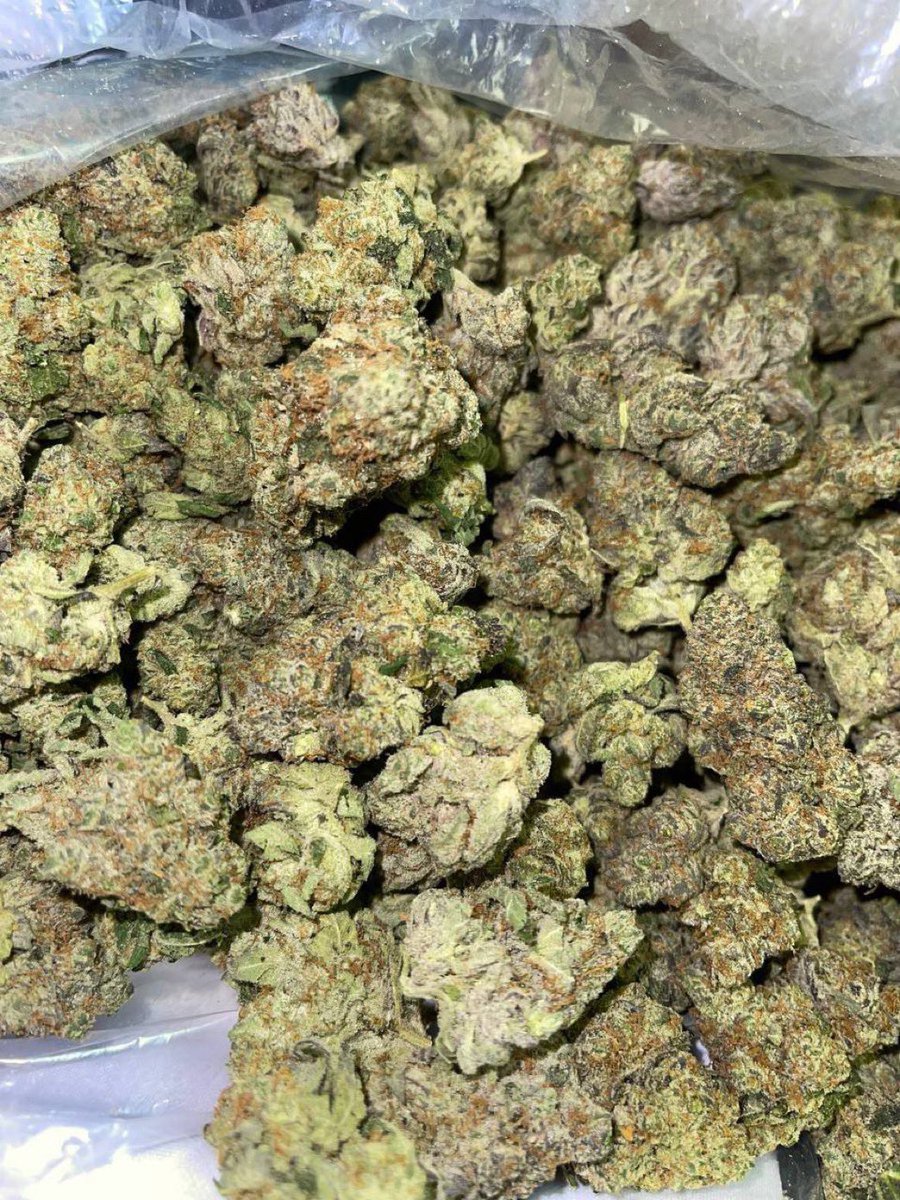 Trapschola12c's tweet photo. GODS GREEN CRACK🔥🔥🔥
AVAILABLE IN BIT N BULK 📦
☎️ ORDER ON TELE: https://t.co/NPkXYQbAuS
NEED SOMETHING ELSE?
SHOP ON MY DISCORD https://t.co/osuVKTkyjN
#weed #florida #horny #flower #lean #nyc #porn #zaza #420community #cannabis https://t.co/AIetHuxU1n