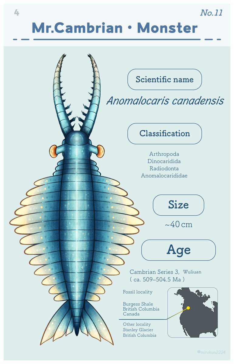 mirokunn2224's tweet photo. 🦖 My Ko-fi shop is finally open!

I create scientifically informed paleoart based on academic research.

📖 Daily Paleo Guide Vol.1
📖 Daily Paleo Guide Vol.2

More Paleozoic guides and merchandise are coming soon!
Thank you for your support!
#Paleoart #Paleontology #Cambrian https://t.co/ZAOqsmN2wm