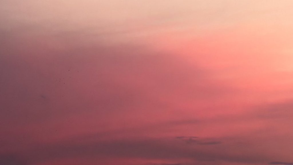_Naturaee's tweet photo. Chasing sunsets https://t.co/PpkFT9CvLa