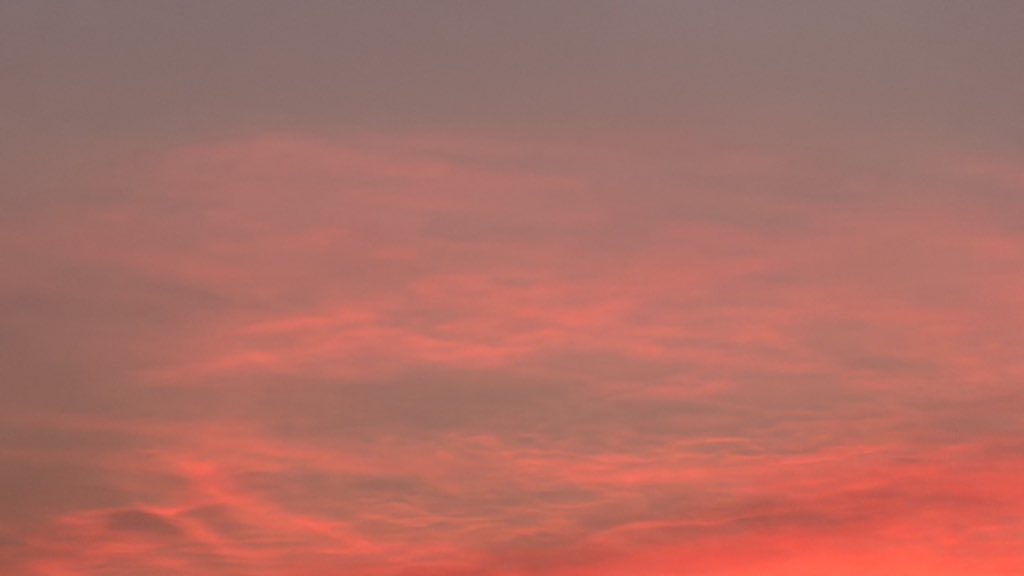 _Naturaee's tweet photo. Chasing sunsets https://t.co/PpkFT9CvLa