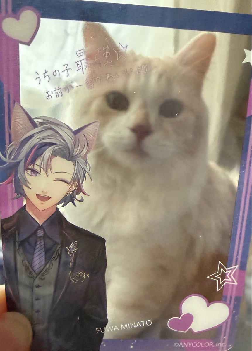 baaruusu's tweet photo. #にじロイヤルカナン
ふわっちのもらえたwwうちの子かわいいー！ https://t.co/T3uEupo6g0