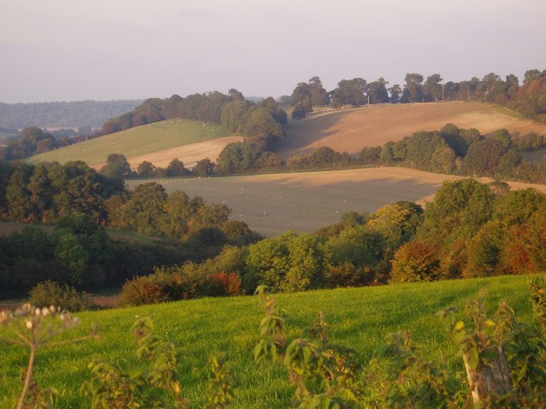WeirdMedieval's tweet photo. tho i do think there’s something to be said for emphasising the lush, verdant farmland of of the south of england. is it not all the more tragic to be bound to such a beautiful land yet alienated from its bounty? https://t.co/zPwrUV206S