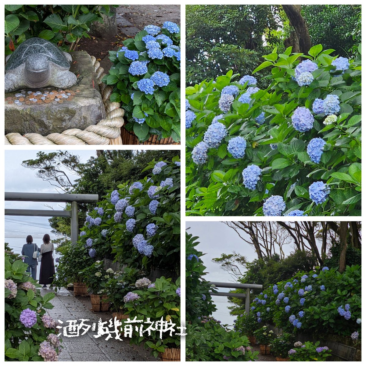 yoo5427s's tweet photo. https://t.co/Zd1ULvhG0x