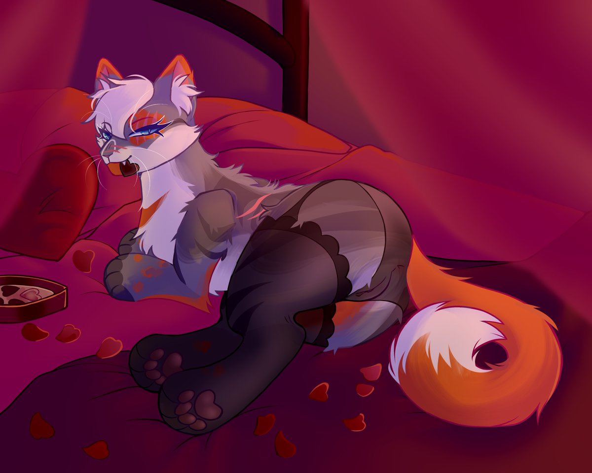‧₊˚✧Vixenheart✧˚₊‧ tweet media