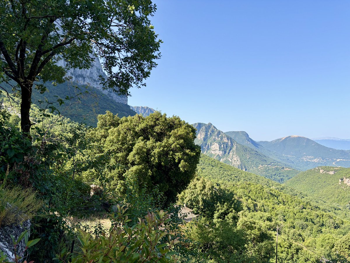 princessekateri's tweet photo. The mountains in the morning

🇬🇷
.

Epirus https://t.co/QgAJo7alUt