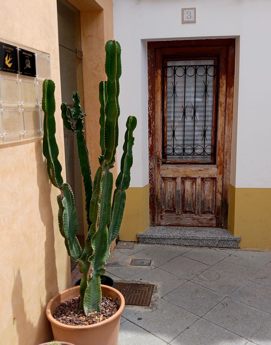 DoorsNo3828's tweet photo. #doorsofMenorca #cuitadella πͺπΈ
#nocontextdoors #dailydoor #doors https://t.co/Knjz2YWyUt