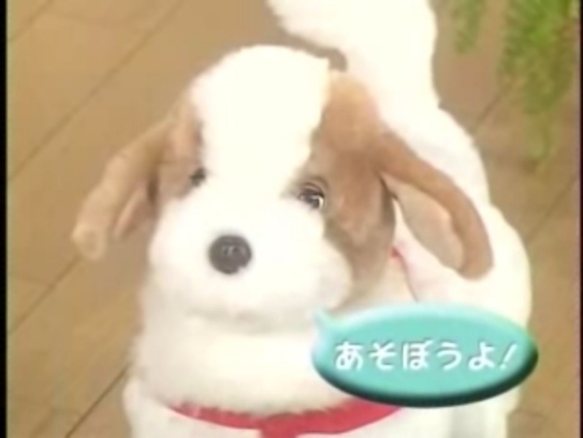 rure0617's tweet photo. #画像フォルダ適当にシャーってやって止まった画像をなんであっても晒すいいねで続行 https://t.co/U6poEewE2X