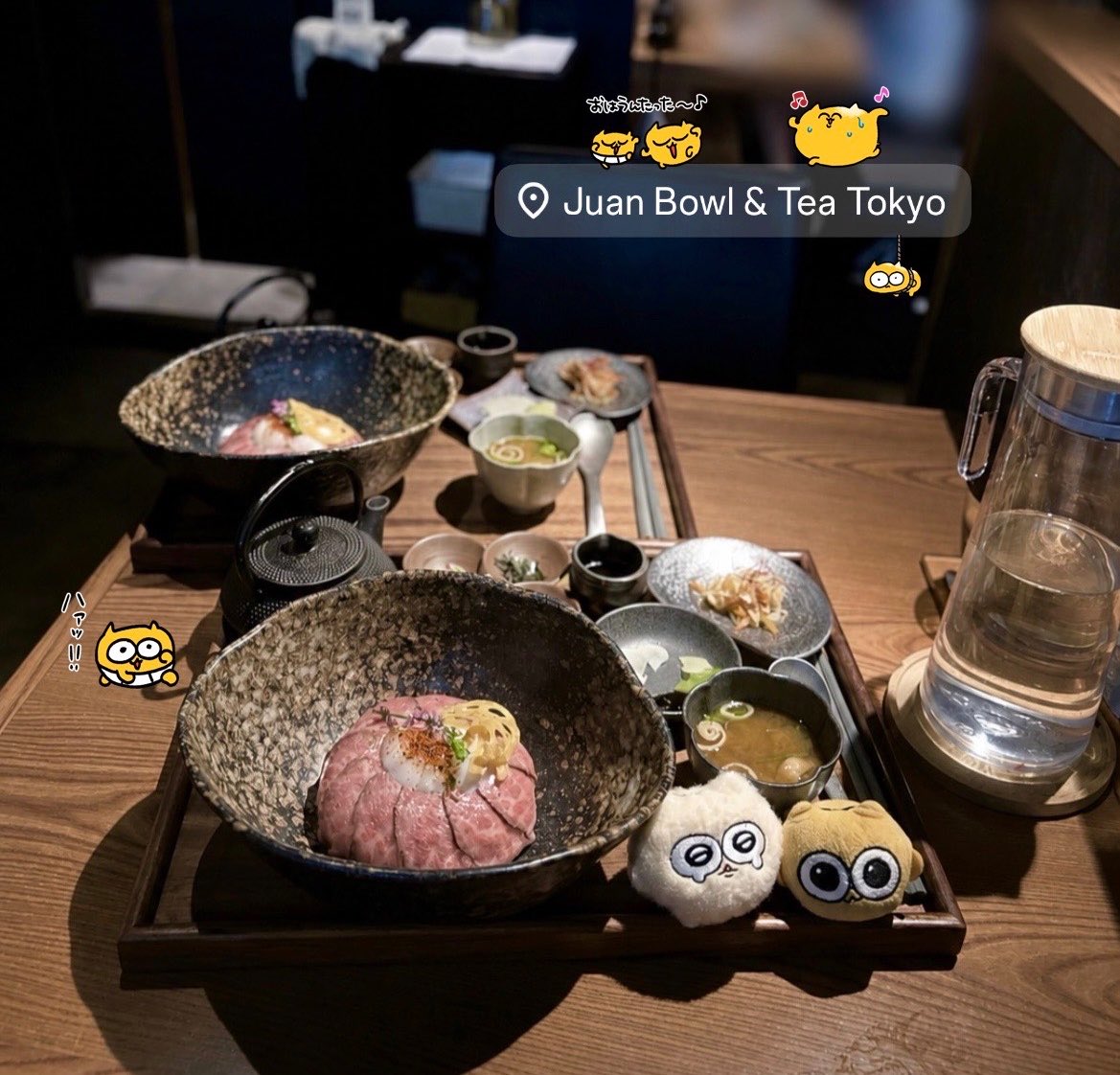 lvxcq_'s tweet photo. うんた達と黒毛和牛まぶし御膳たべたよ🍖♡
#うんたねこ #カビうんた https://t.co/Y3hJpHFvXz
