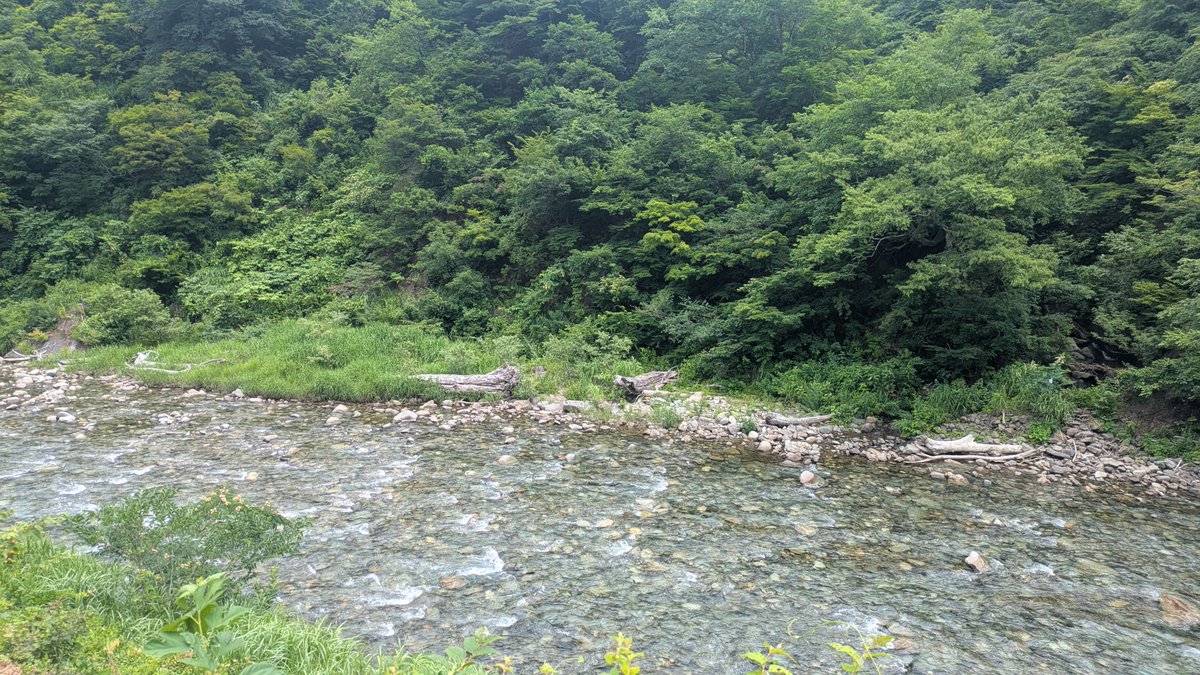 Nagitty_jp's tweet photo. フランキンセンス🌿

ヒノキとは違う落ち着いた木の香り
自然の匂いってすきっ！ https://t.co/lxGicE7AbX