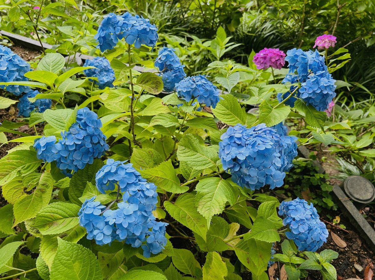 DaoussaYassir's tweet photo. なんでこんなに？ってくらいヘトヘト
昨日の鍋とアイスの消化に体力を持っていかれすぎている https://t.co/6A270F2NnV