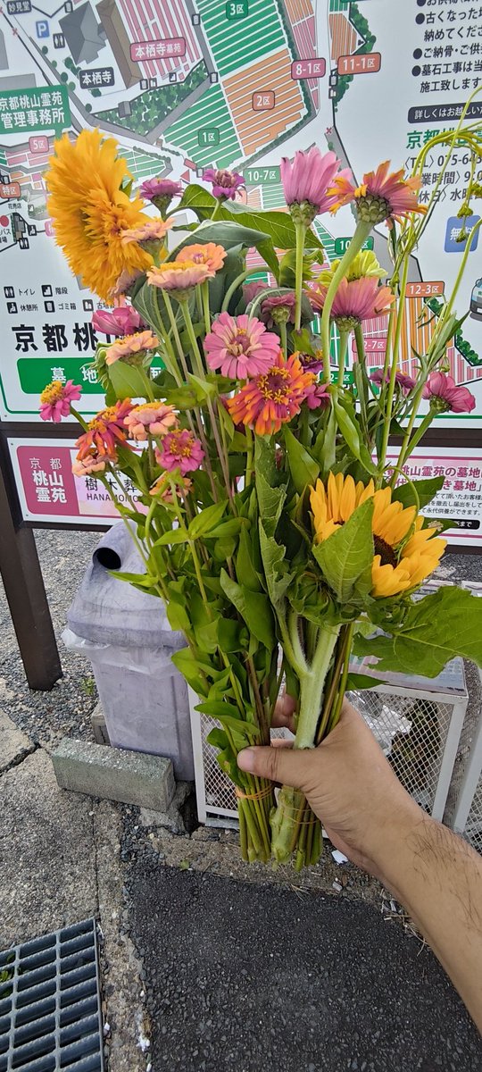 guncyo's tweet photo. お墓参りぱーと2
向日葵とかたつき君には似合いそうだからお花に混ぜてみたけど不味かったかな？
何方かここ数日でお参りして頂いたみたいでまだ元気なお花がお供えされてたので
お手入れしてそのままお供えさせていただいてます
ところでお参りした途端に卒塔婆は鳴り、ゲリラ豪雨降ってきたんじゃが https://t.co/RcXJm18HCy