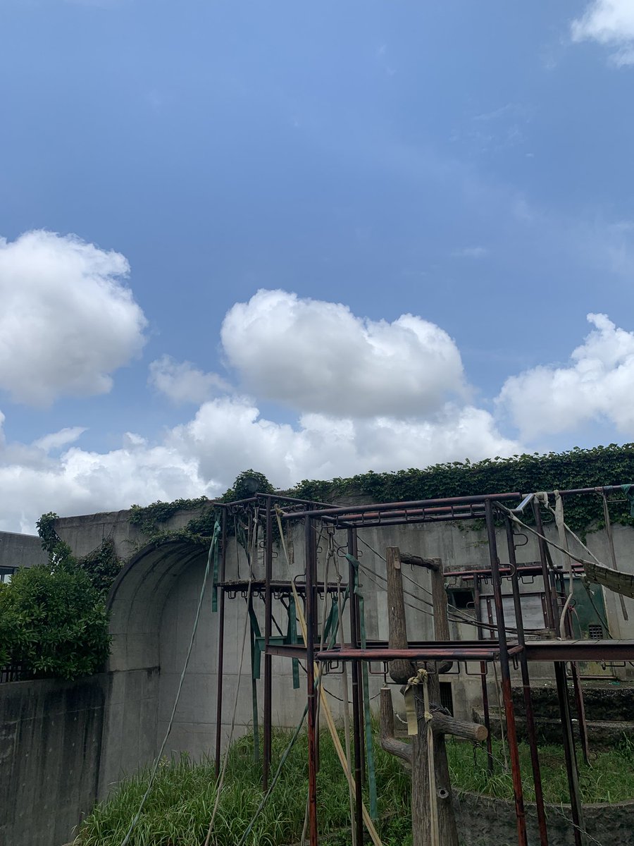 tazKWLmw5rR7M5F's tweet photo. 今日はポポちゃんの当番でした😃
空を見上げたらまるで
ジブ◯みたいな雲が☁️ https://t.co/Lp6U2ZcADD