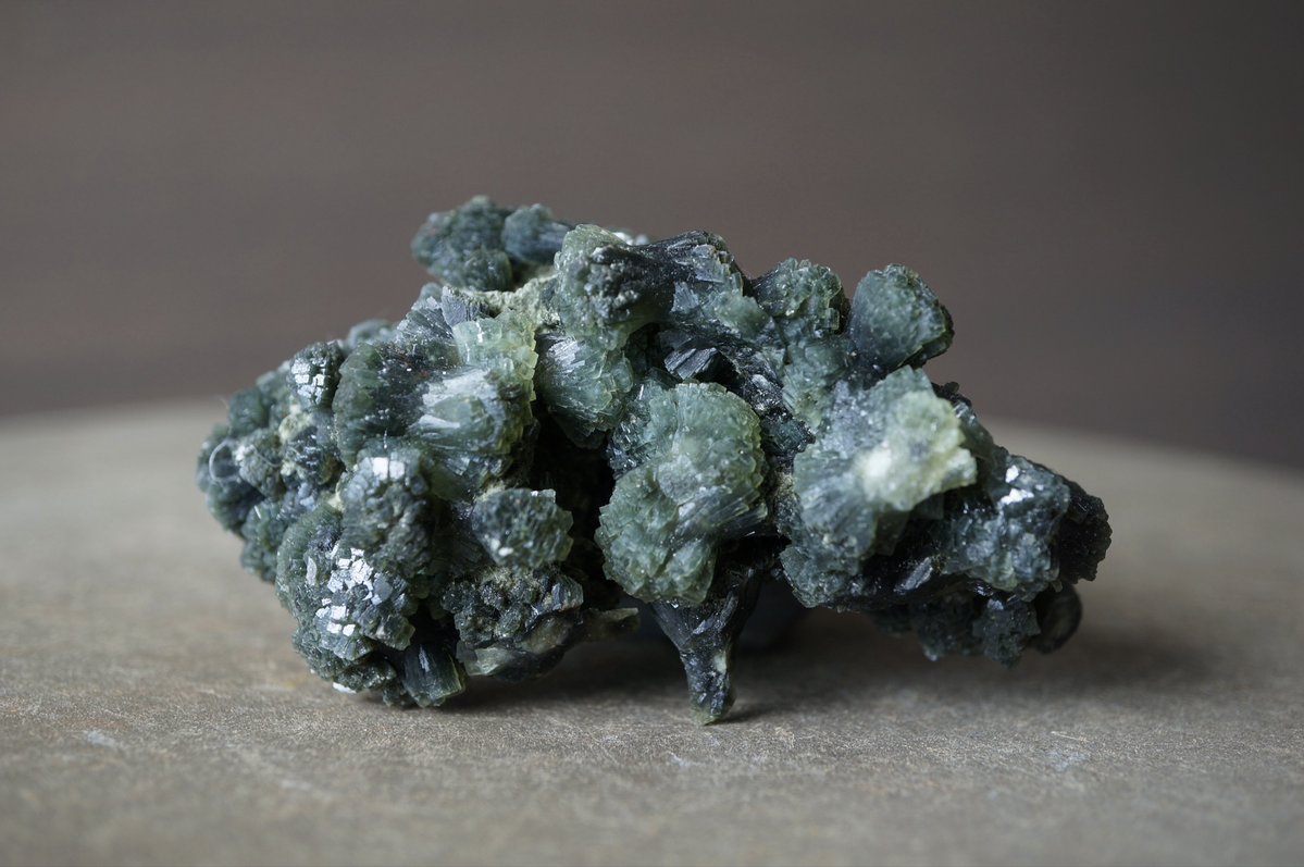 jokei__'s tweet photo. 本日21:00出品

コンゴ産アズライト/マラカイト Azurite / Malachite
コンゴ産マラカイト Malachite
モロッコ産プレナイト Prehnite https://t.co/aOdjCzx3AN