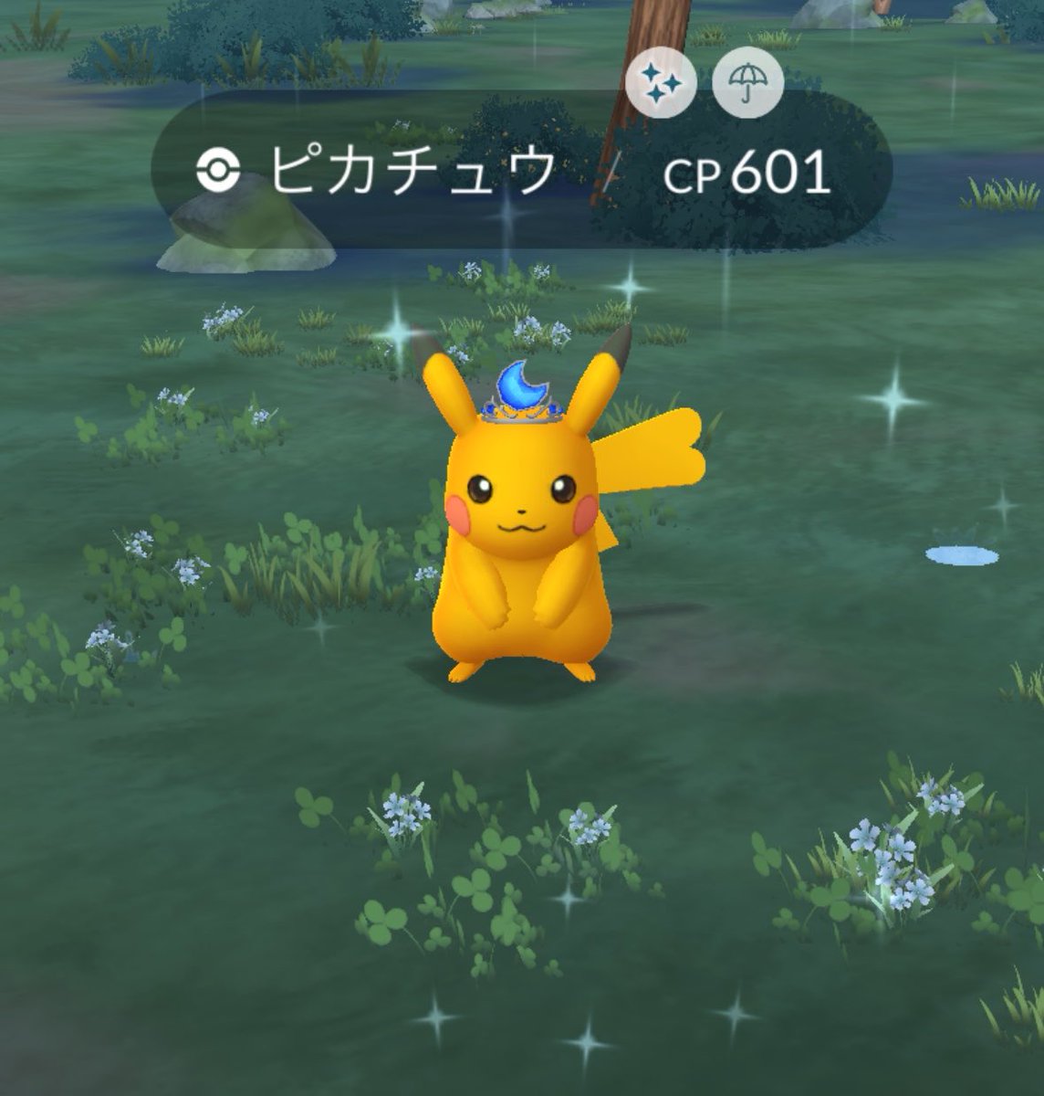 a_poke_10's tweet photo. スーパーメガライチュウ6戦した⚡️
最後の1戦が色違いだった！
月冠のピカチュウ色違いもGET🫶🏻
#ポケモンGO #PokémonGO https://t.co/OsCeRfCRqj