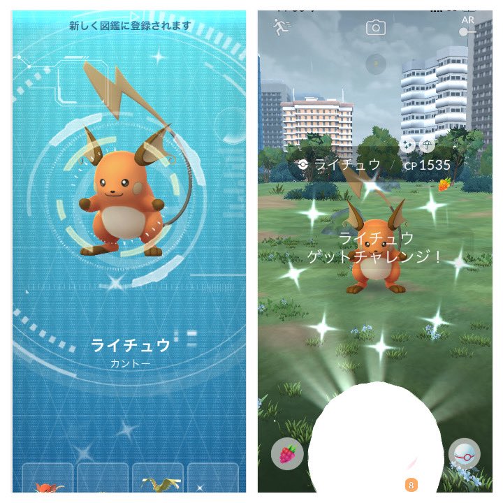 dra_pokeac's tweet photo. ライチュウメガレイドデイお疲れ様でした！

キラったなーと思いきや唐突に図鑑登録きた🤣進化サボってたんかい！

結局22戦
色違い3
100💯1‼️

武蔵境やっぱ最強❣️ https://t.co/tbHWqS0cGh
