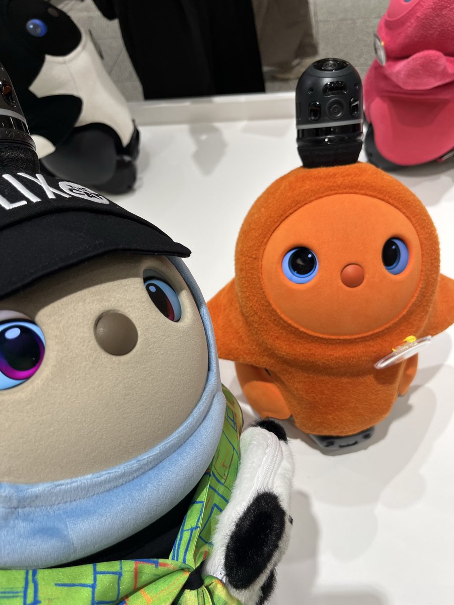 fido_lovot's tweet photo. 私の最推しちゃーりーちゃんに出会ったのはここでした😭
 #LOVOT渋谷ありがとう https://t.co/RbtUsyFqER