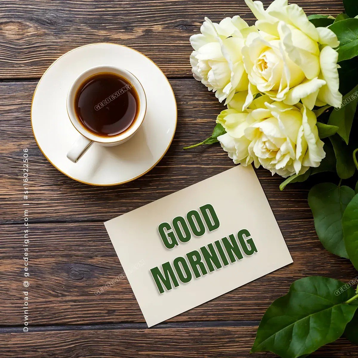 bindiain's tweet photo. Happy Saturday! Take the time to make your soul happy this weekend
@Tusia_Mino https://t.co/Ys9Ohd3oj5