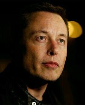 COMMENTARY Elon MUSK tweet media