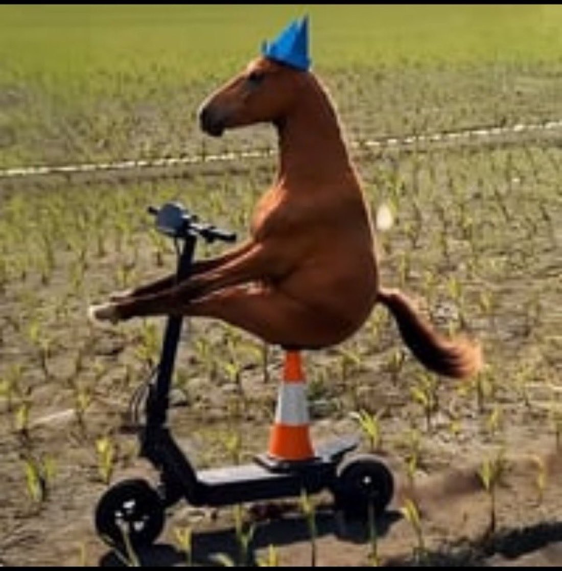 Winston__G's tweet photo. PartyConeScooterHorse https://t.co/pek5XWUdt8