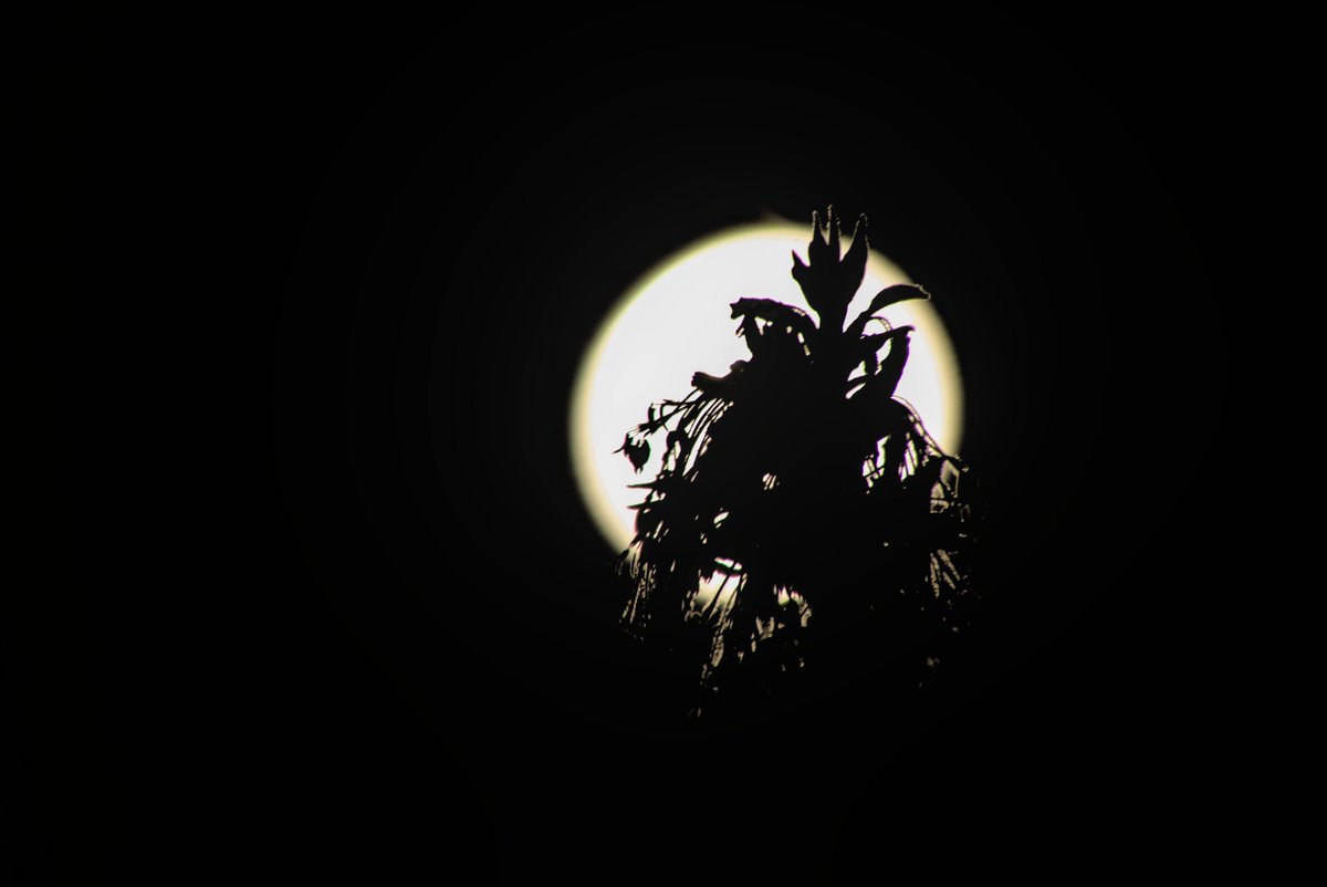 stogafy_d's tweet photo. leave it in a darkness devoid of any meaning 
#night #photography https://t.co/NwtmQRw1jY