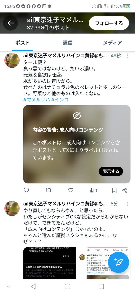 aoiail's tweet photo. なんなの一体😟
成人向けコンテンツなんて設定してないってば。 https://t.co/06cp8XGhqf