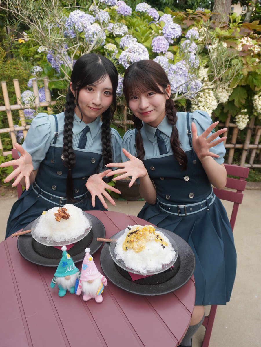 RainTree_RT's tweet photo. 🌱メディア掲載情報🌱

千葉のフリーマガジン
「#チーマガ 」(@Chi_magaplus )に、
#朝宮日向 #市原紬希 #永瀬真梨 
#新野楓果 #吉川海未 が
ナビゲーターとして掲載されています.ᐟ.ᐟ
昨日より千葉県内で順次配布しておりますので、
ぜひチェックしてください📚

▼詳細はこちら
🔗https://t.co/PQfvEMax0I

#チーマガ
#RainTree #レインツリー