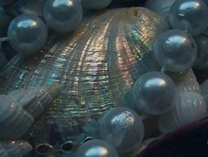 yurinibal's tweet photo. predatory hands

🦪 ungyang
🦪 explicit
🦪 pwp; scientist/siren, feminization, oviposition, body modification, medical experiment
🦪 4.3k words

🔗 https://t.co/0KgrMnohcK https://t.co/FuRWtH2bTy