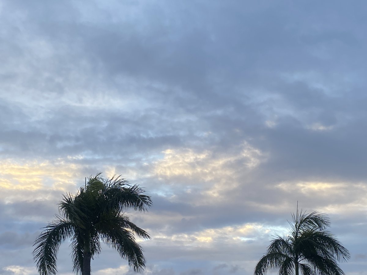 JeaneneHyles's tweet photo. some drizzle to complete a windy grey day!
#goldcoast #lastlight https://t.co/m3nqBLAoJk