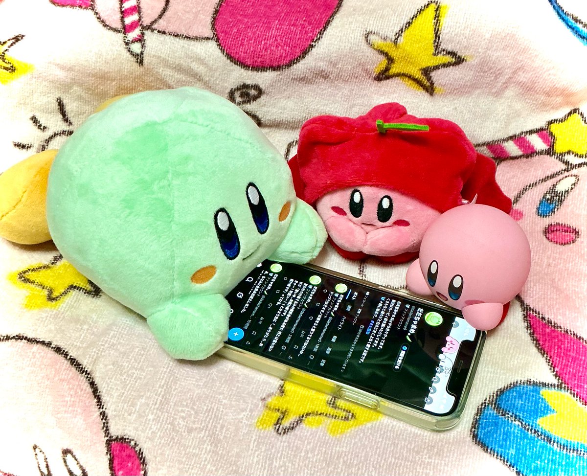 dadachamame0's tweet photo. カビちゃ達にスマホ取られた…(X見てる) https://t.co/UEmPcI1NHH