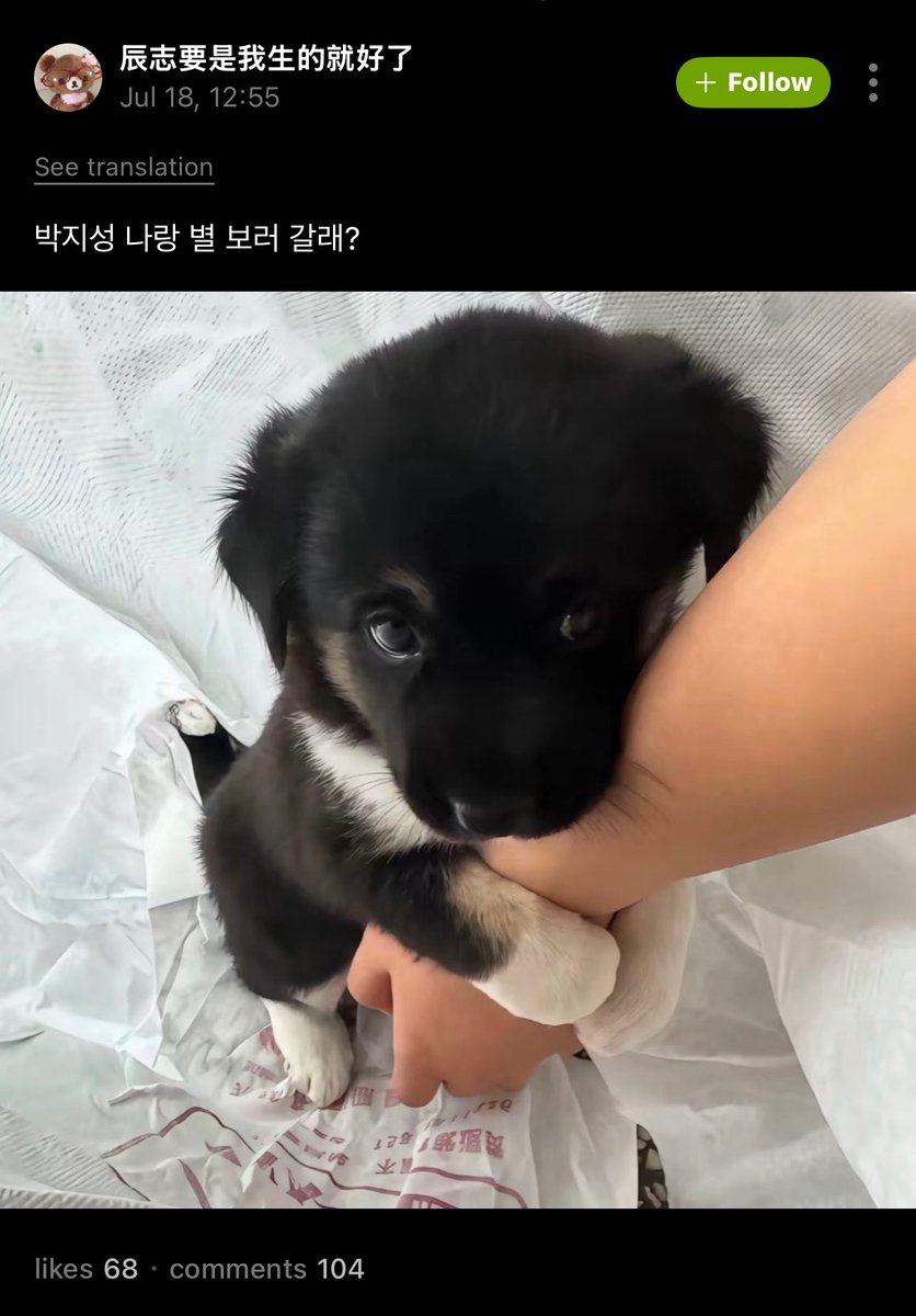 PhiJISUNG_TH's tweet photo. [260718] weverse | #박지성 🐹 reply

💬 : (รูปภาพ)
        พัคจีซอง ไปดูดาวด้วยกันม้าย?
     ㄴ 🐹 : ㅋㅋㅋㅋㅋ(55555) ลูบ ๆ (ฟีลโอ๋ ๆ น้า )

#จีซอง #JISUNG https://t.co/bOdWv878Ga