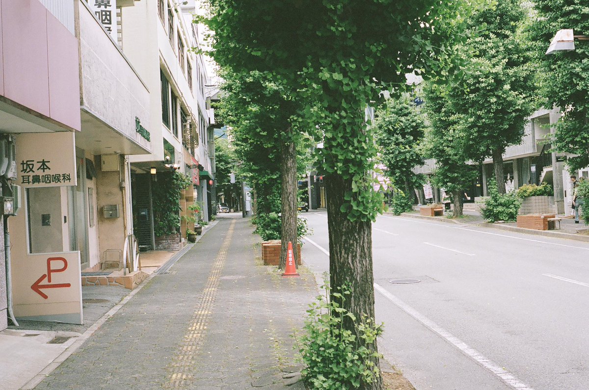 yamsan's tweet photo. YAMPHOTO, CONTAX ARIA DとCarl Zeiss Tessar T* 45mm F2.8 MMJと山口駅の駅前通りの街路樹
https://t.co/ja94hzv6yg
#フィルム写真
#フィルムカメラ
#filmcamera
#35mm
#filmphotography
#CarlZeiss
#Tessar45mmf28
#Tessar
#KODAK
#PORTRA400
#KODAKPORTRA400
#PORTRA https://t.co/dfCS0K4AmQ