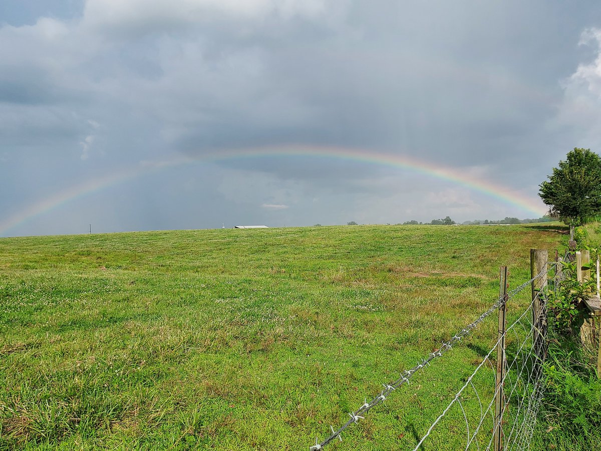 JakeMorgan59091's tweet photo. FullRain Bow 🌈 of 2026 In the CounTrySide🤠🇺🇸🦌 N 2 RainBows🌈 in One (1) day, first this one..2026

#RainBows🌈
#CounTrySide🤠🇺🇸🦌
#Merica🇺🇸🇺🇸🇺🇸
#YeeYee🦌🇺🇸🦃🎣
#KeepNitRedNeKN🤠😎👍🤘
#USA🇺🇸🇺🇸🦅🦅

...2026 https://t.co/inYJrA9wp6
