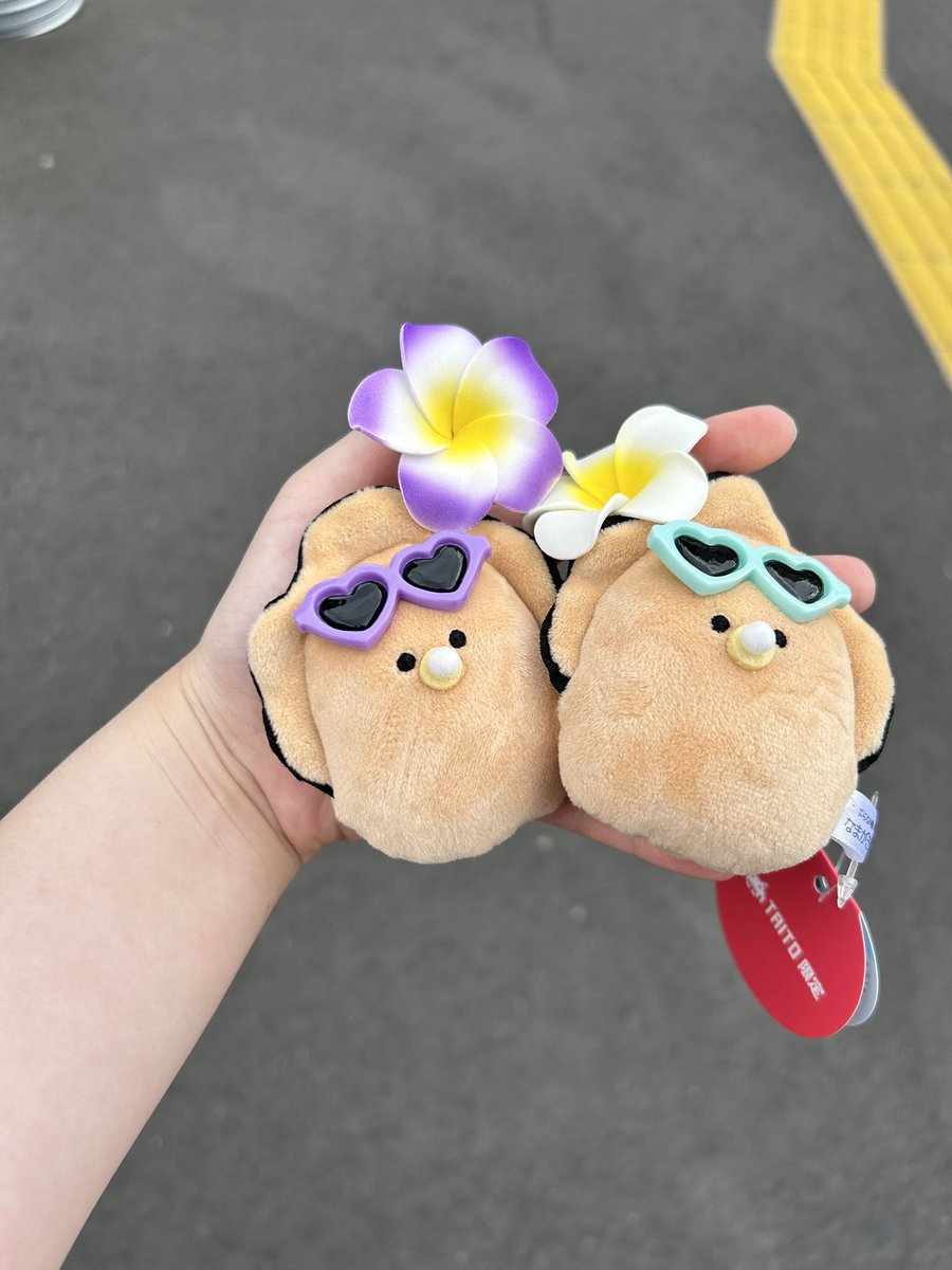 Melco3316's tweet photo. 渋谷タイトーに滑り込みセーフ！！！
ばかんすちゃん会いたかったよ🥰🥰
(見た感じあと紫の子だけでした🦪´-) https://t.co/LFJJjDLStO