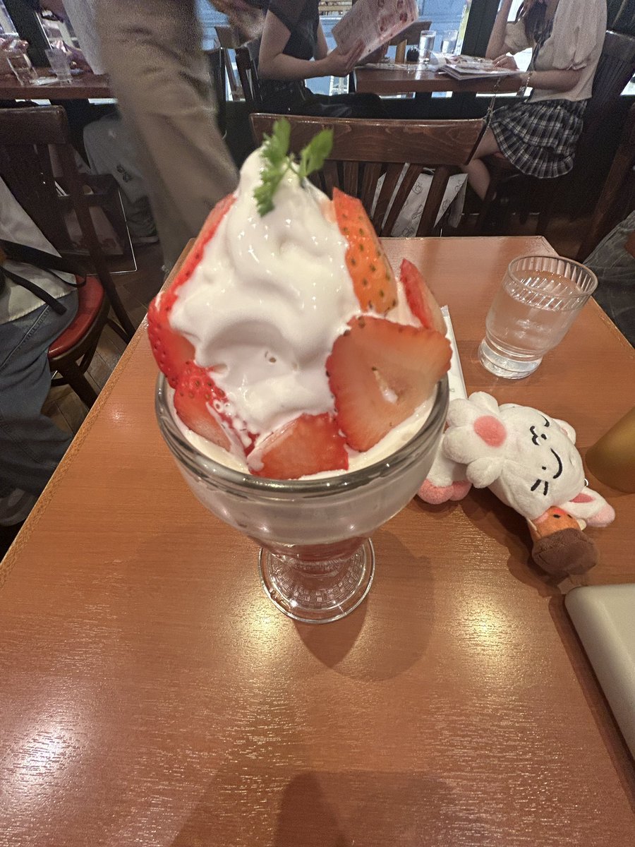 su3n00's tweet photo. 키슈랑 단둘이 일본에서 ••• https://t.co/QOuh3qM90S