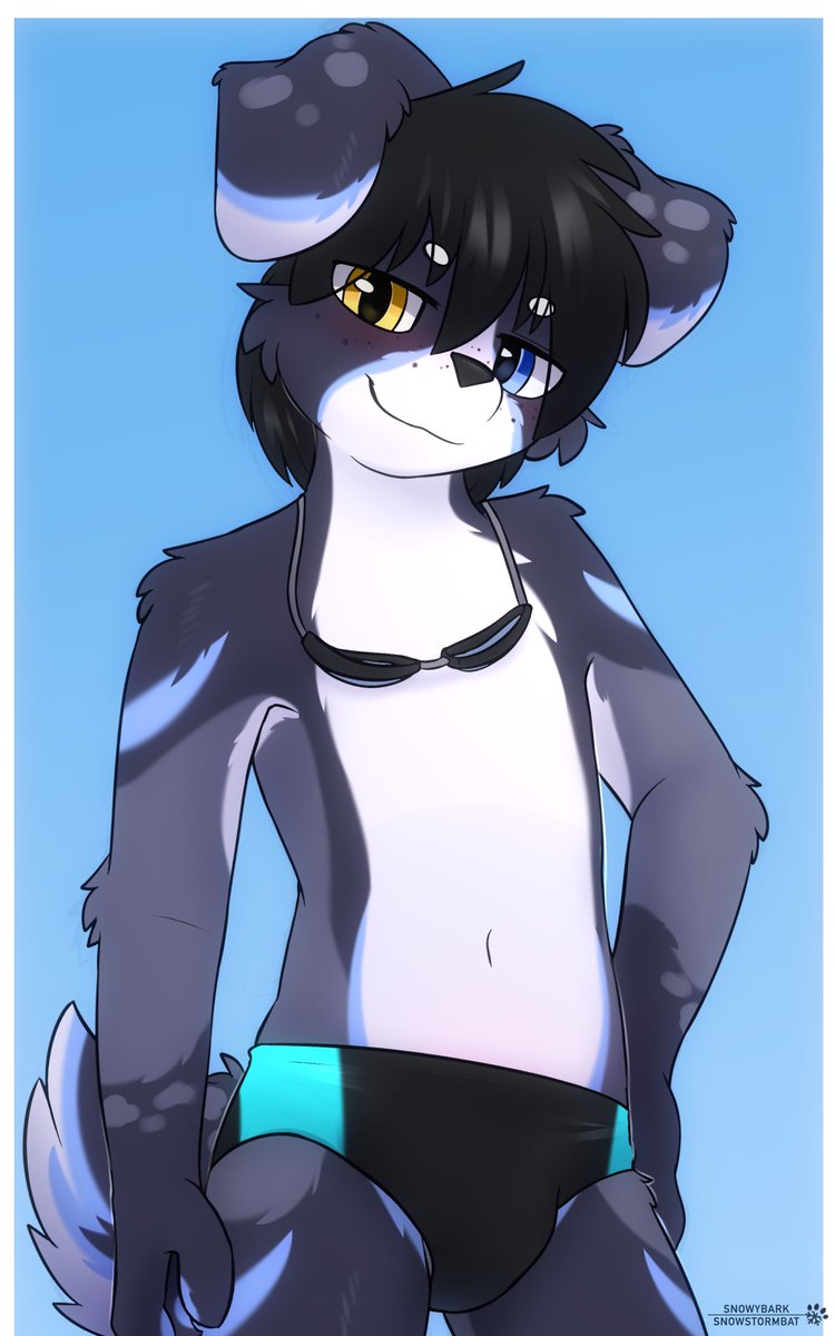 Snowybark tweet media