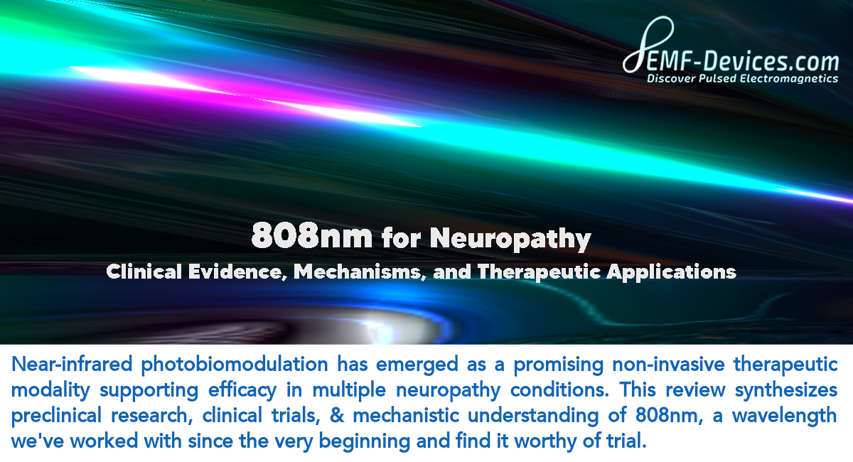 Digitalwellnes6 tweet picture
