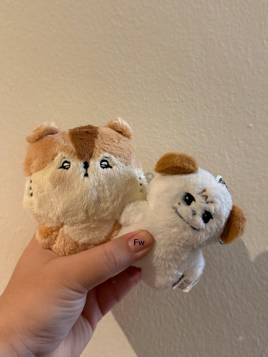 FW_Drakyu0203's tweet photo. Finally KyuMae meet RamXia 🙌🏻
🐶 🐿️
#JUNSU
#KYUHYUN
#RAMXIA
#KYUMAE
#규현
#시아
#준수 https://t.co/x6jU4A2x76