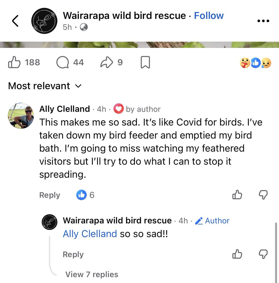 Dame Jane tweet media