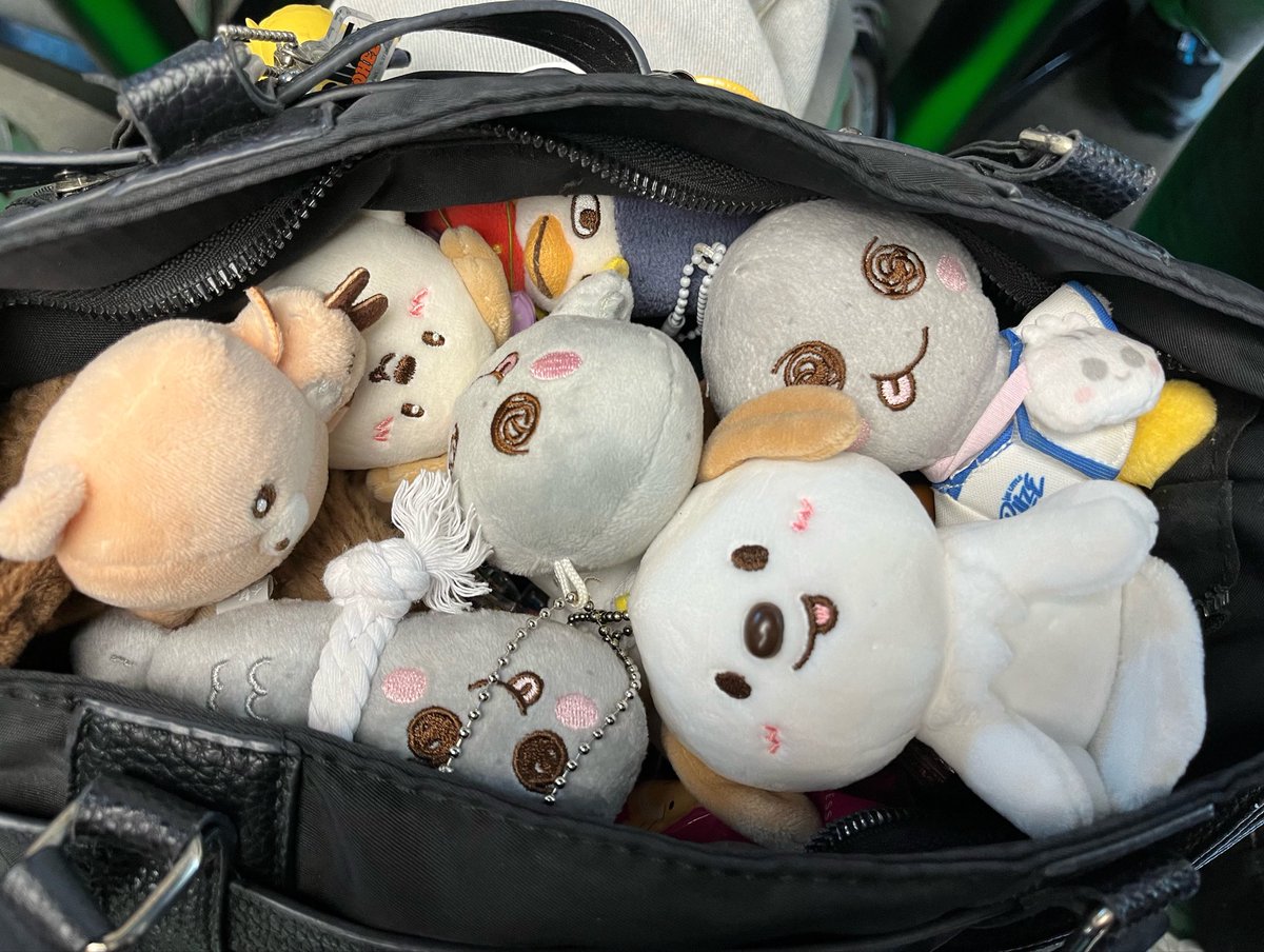 _meowmeowsmeow's tweet photo. รถขนฝัน🕊️ https://t.co/Gq9YM4jlJW
