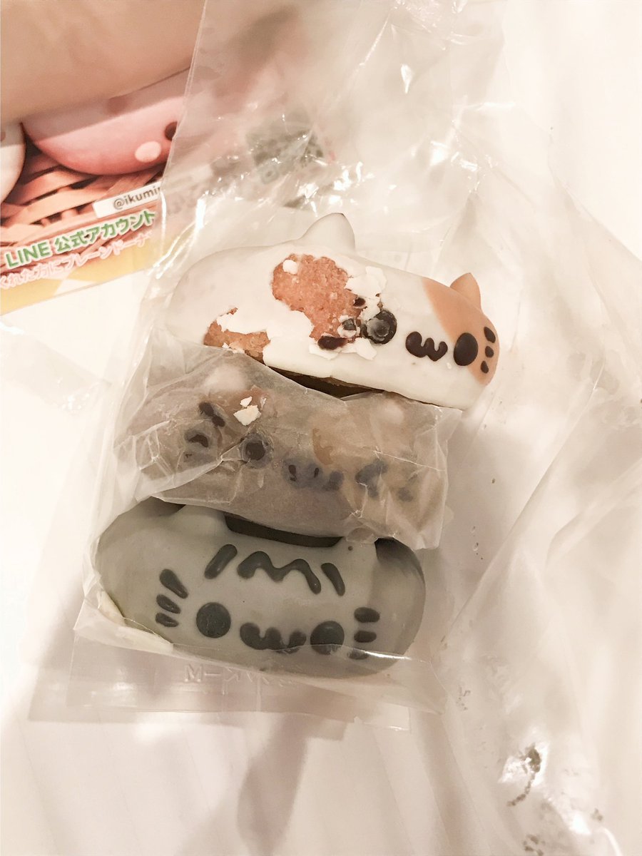 kooorimu's tweet photo. 숙소에 도착하니 도넛이 전부 망가져 있었지만…ㅜㅜ……. 너무너무귀여워!!!!!🐾🍩 https://t.co/hMtRp2OP37