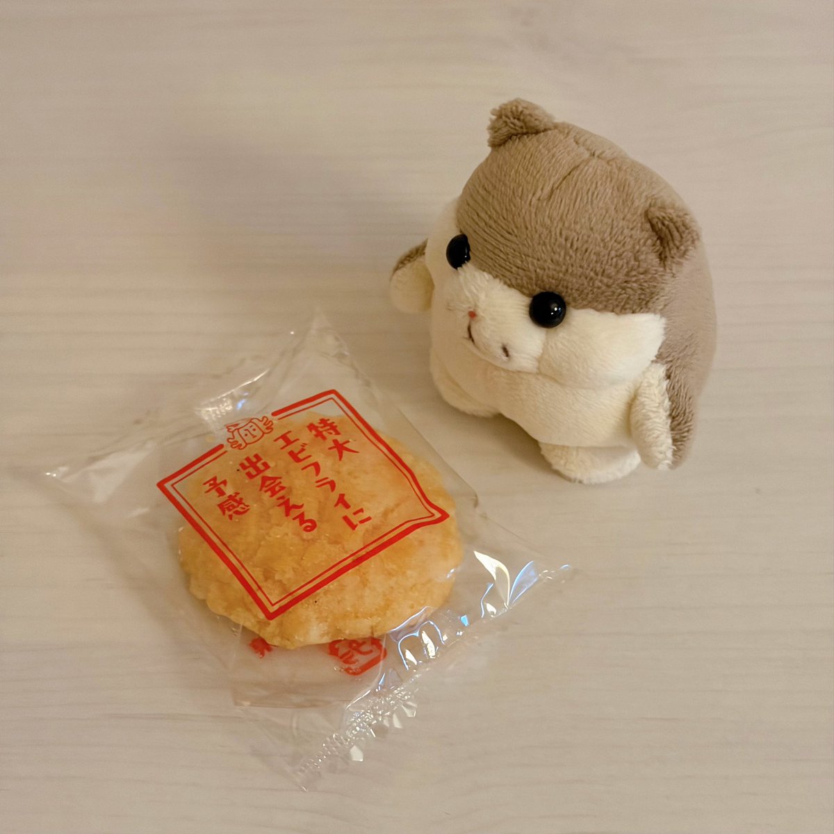 omusubi_hamster's tweet photo. わくわく　だぞ🍤✨ https://t.co/Ouz1pj0NVd